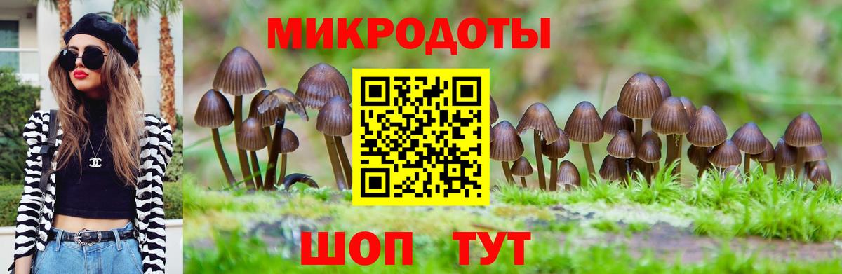 Галлюциногенные грибы MAGIC MUSHROOMS Кудымкар